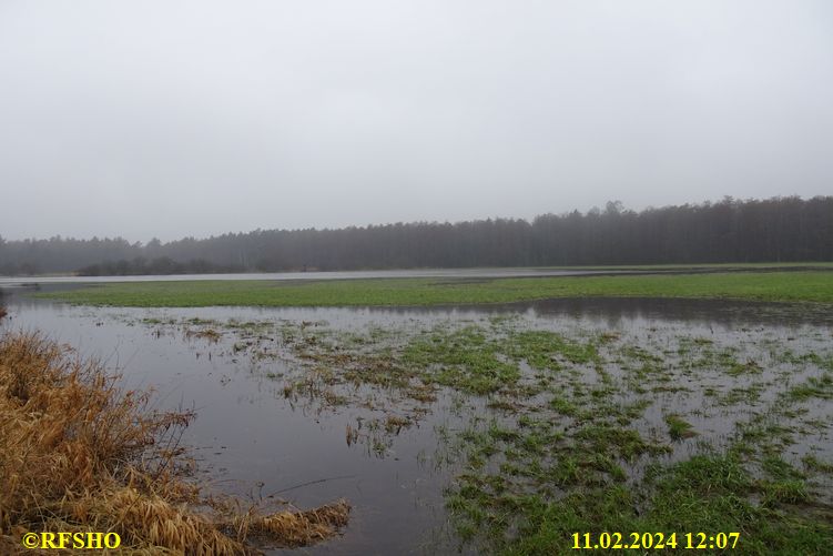 Lübingshorst Wiesen