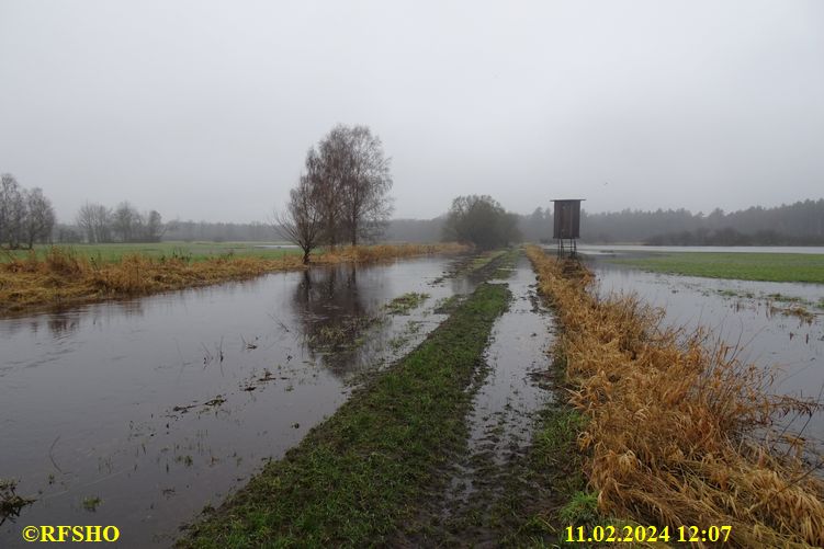 Ise, Lübingshorst Wiesen