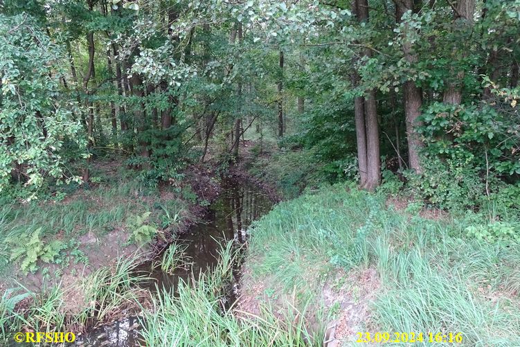 Marschstrecke Elbe-Seitenkanal, am Momer Düker