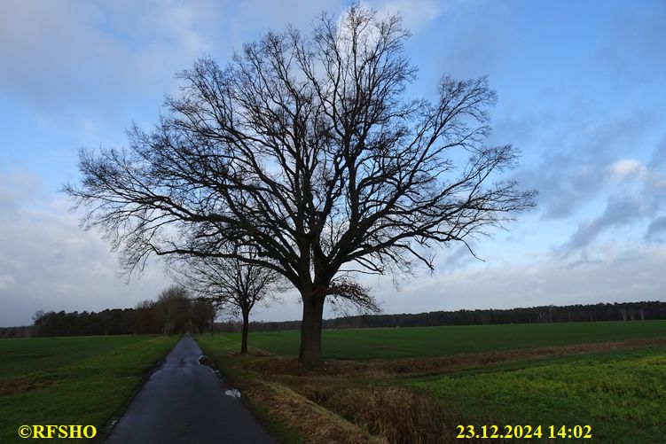 Marschstrecke, Schützenstraße