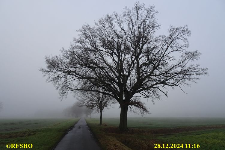 Marschstrecke, Schützenstraße