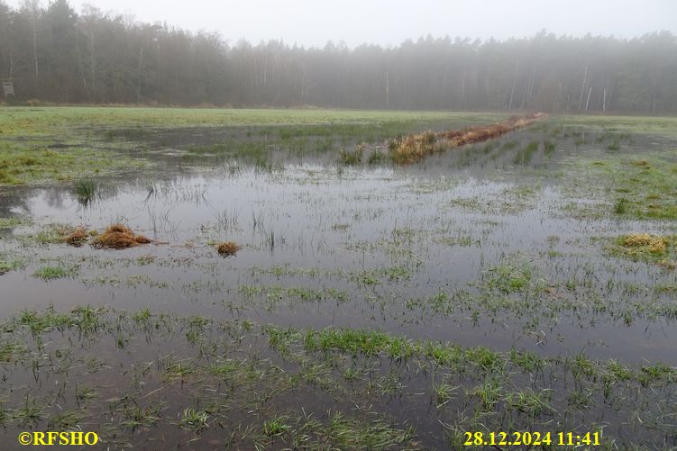 Ise, Lübingshorst Wiesen