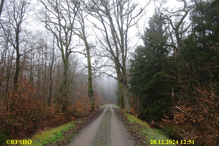 Leustraße FA 2239