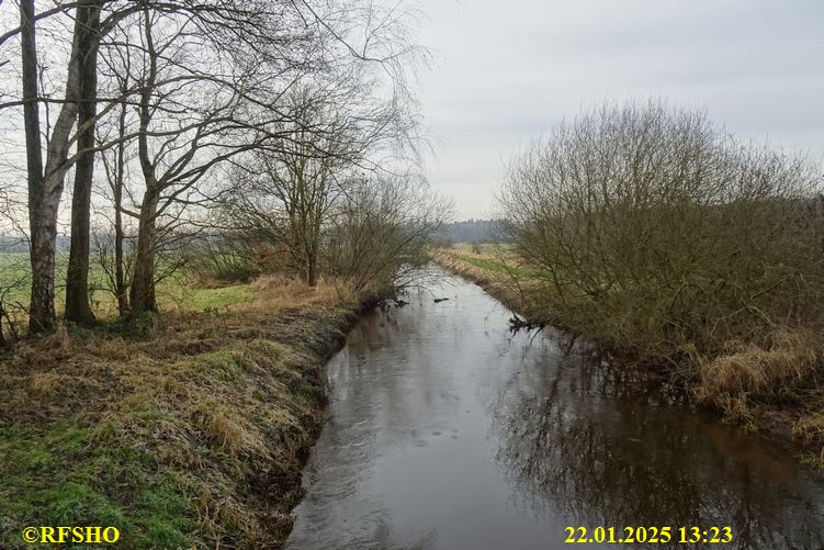 Ise, Lübingshorst Wiese