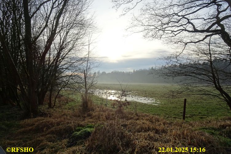 Luhmannsche Wiese