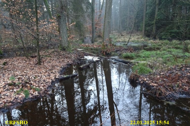 FA 2149, Momerbach
