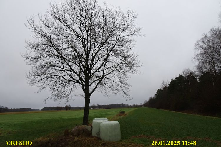 Marschstrecke, Preussagstraße
