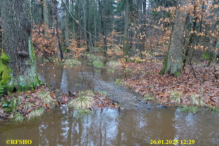 FA 2149, Momerbach