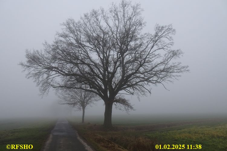 Marschstrecke, Schützenstraße