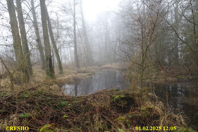 Marschstrecke, Großer Leu