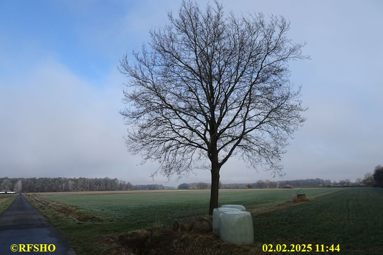Marschstrecke, Preussagstraße