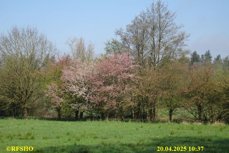 Marschstrecke, Isedamm