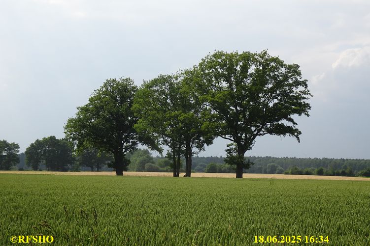 Marschstrecke, Schützenstraße