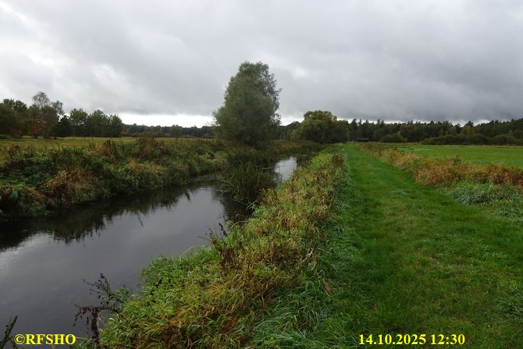 Marschstrecke, Ise Lübingshorst Wiesen