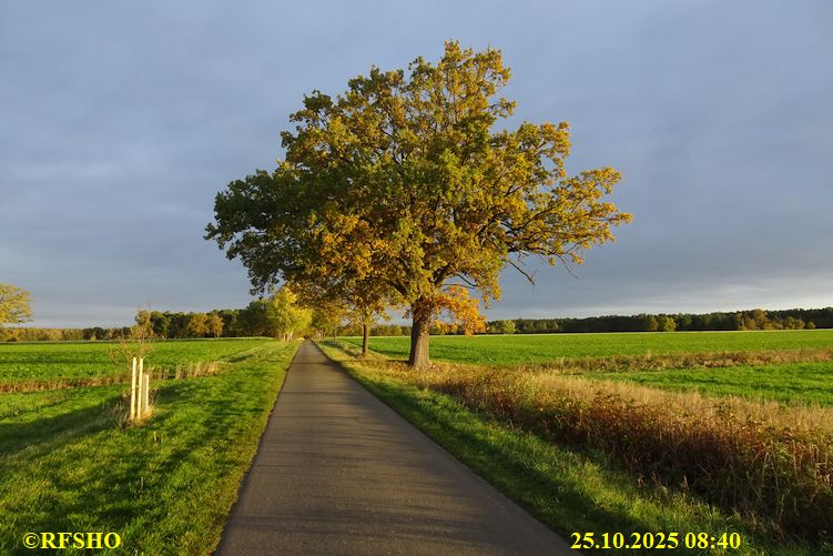 Marschstrecke Schützenstraße
