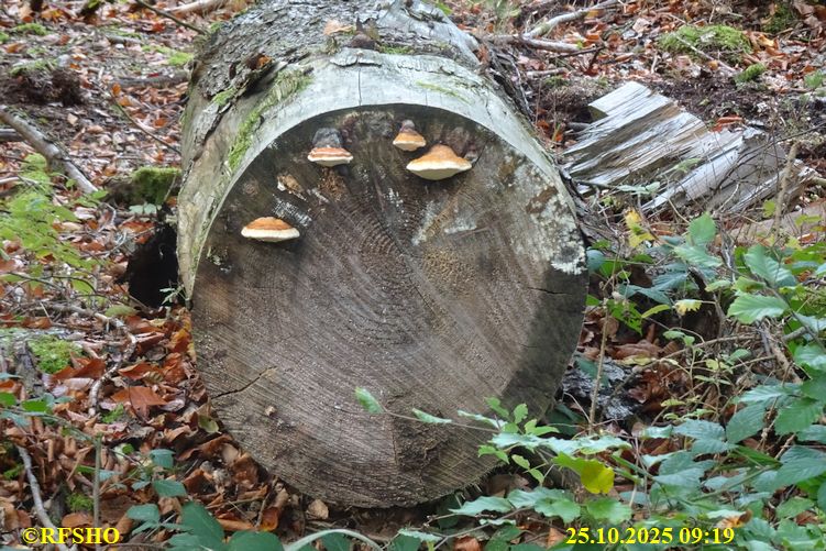 Marschstrecke Großer Leu