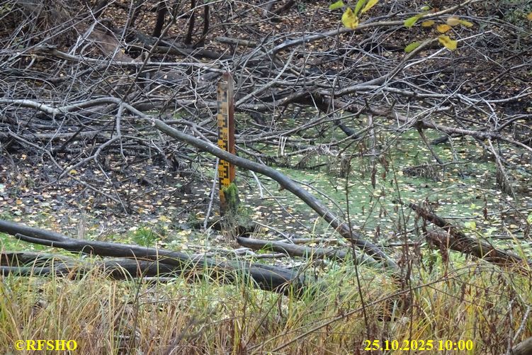 Marschstrecke Heiliger Hain
