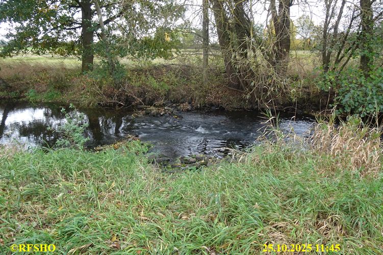 Ise Lübingshorst Wiesen