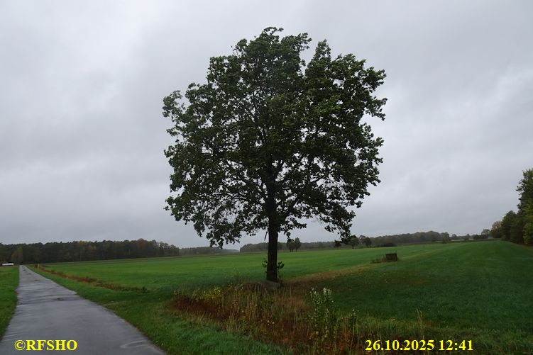 Marschstrecke Preussagstraße