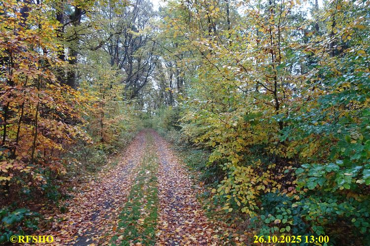 Marschstrecke  FA 2137