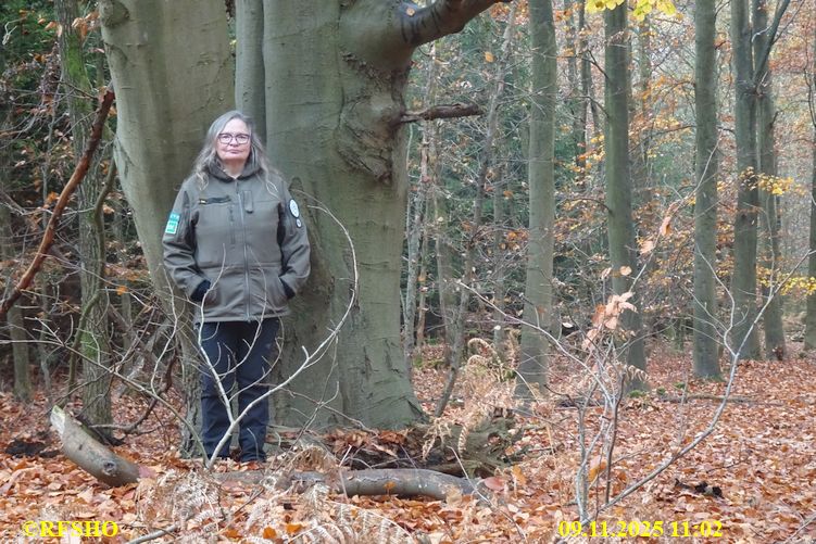 Marschstrecke  FA 2137