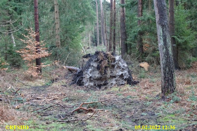 Marschstrecke, Großer Leu