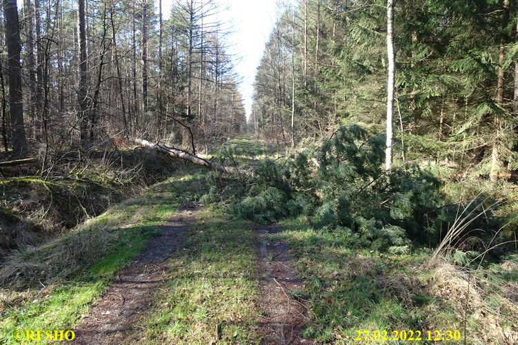 Marschstrecke, Großer Leu