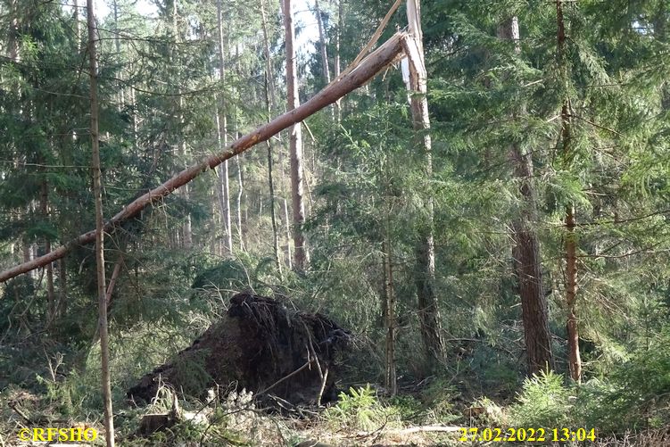 Marschstrecke, Großer Leu