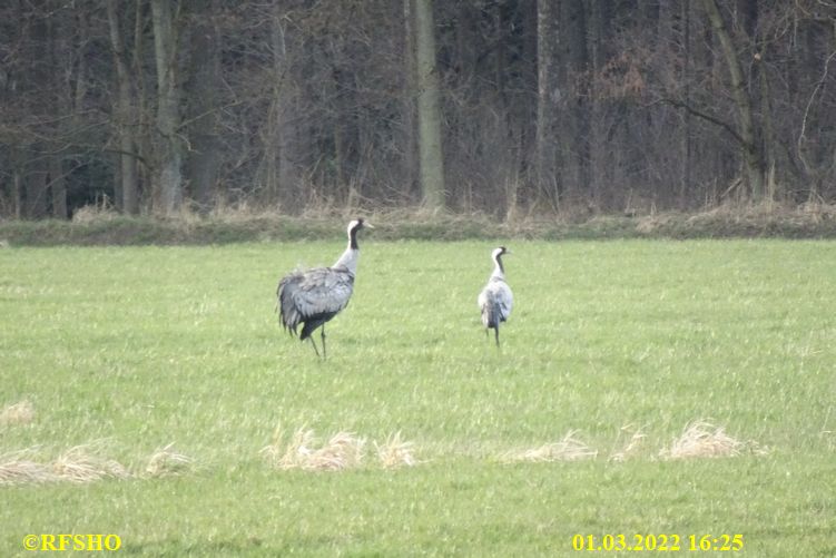 Marschstrecke, Lübingshorst Wiesen