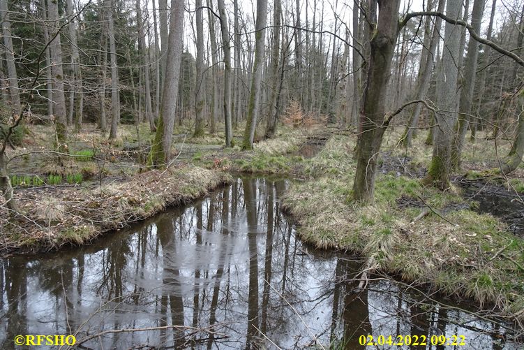 Marschstrecke, Kiekenbruch, Momerbach