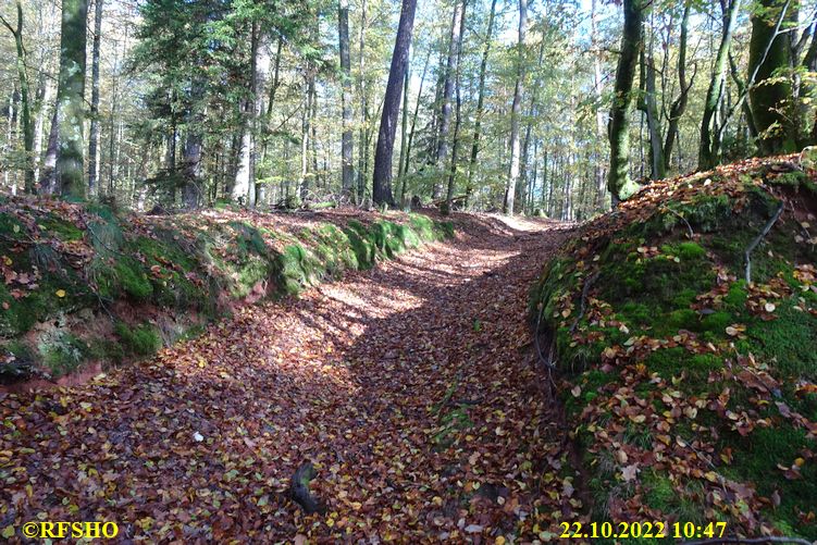 Wanderung Altschloßpfad