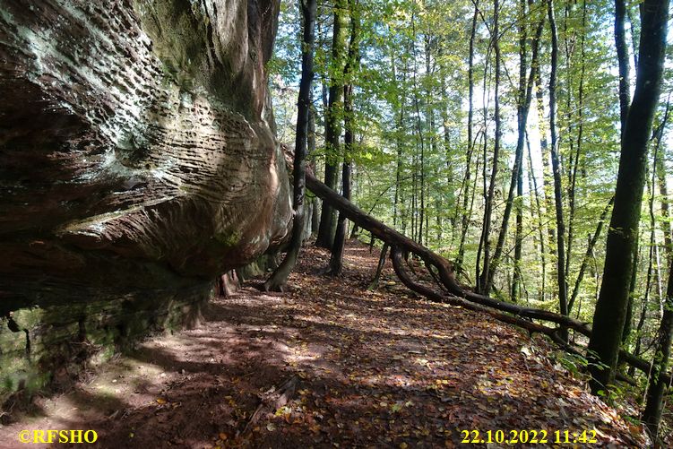 Wanderung Altschloßpfad