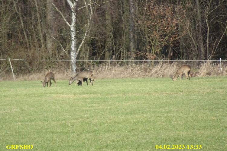 Marschstrecke, Großer Leu