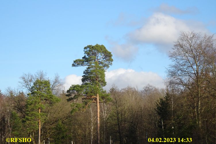 Marschstrecke, Großer Leu