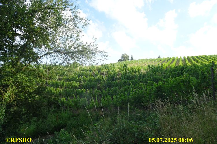 IPA Marsch, Marschstrecke