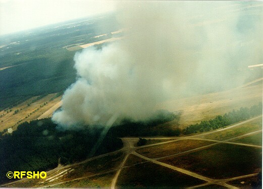 Waldbrand Celle Arloh 31.07.99