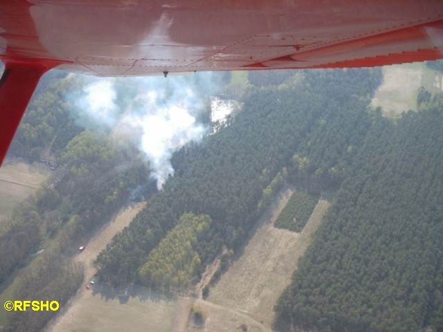 Waldbrand Hillerse / Rolfsbüttel (LK GF) 22.04.2003