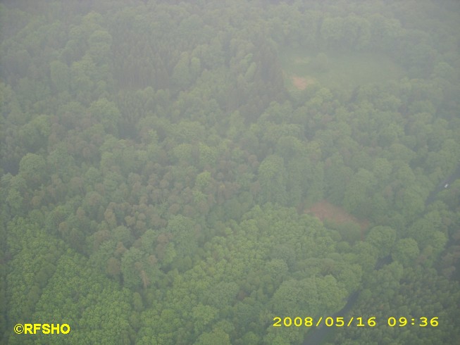 Einweisung eines Feuerwehrfahrzeuges im Wald.