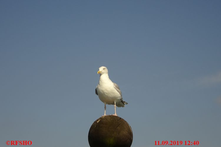 Ostseebad Zingst