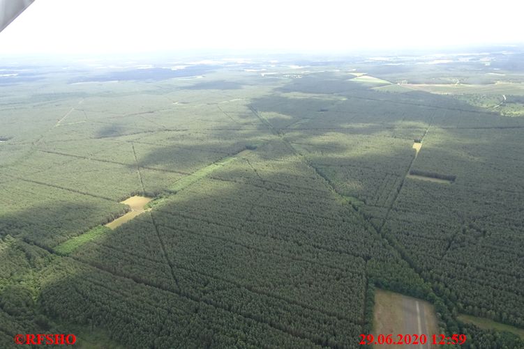 Wald bei Rebberlah, FA 726