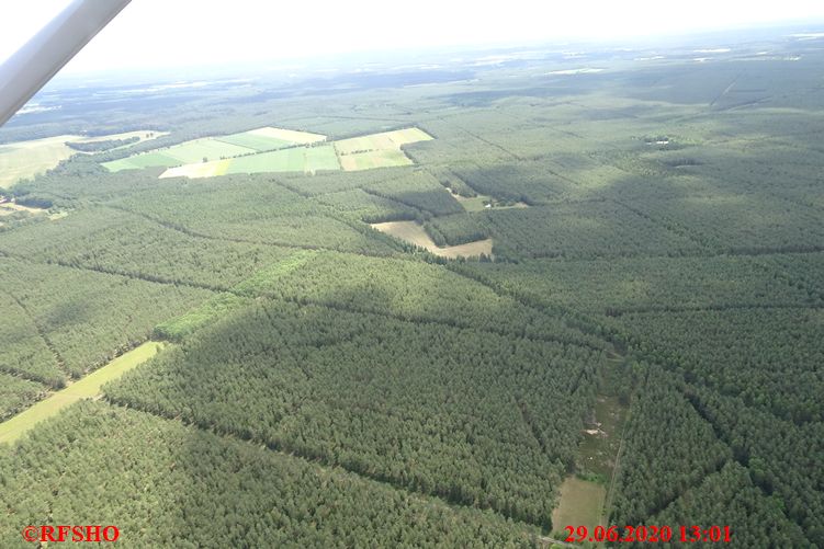 Wald bei Rebberlah, FA 726