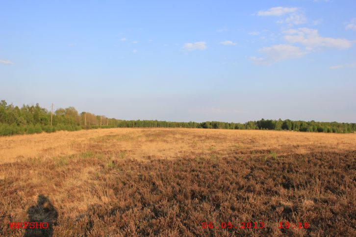 IuK Gruppe im Grossen Moor