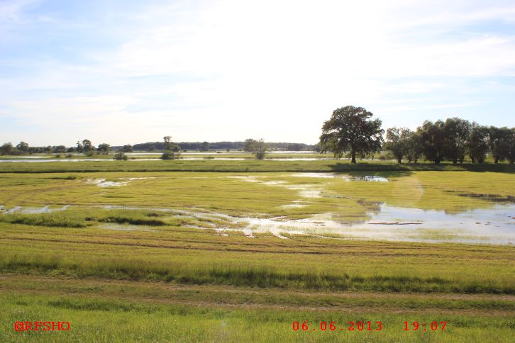 das Wasser steigt langsam