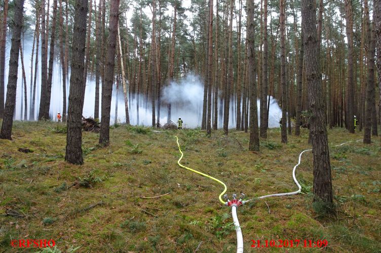 Waldbrand