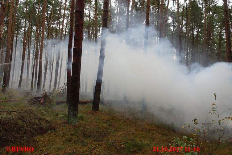 Waldbrand