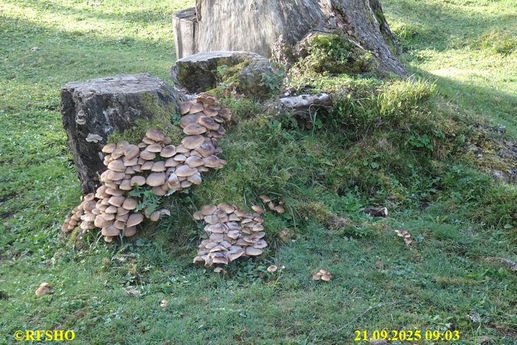 Einhornmarsch 3. Tag