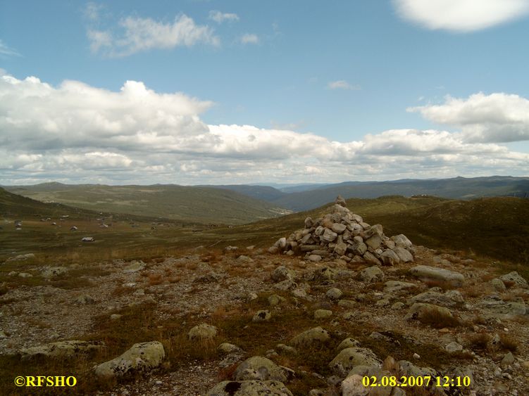 Gulsteinhovda
