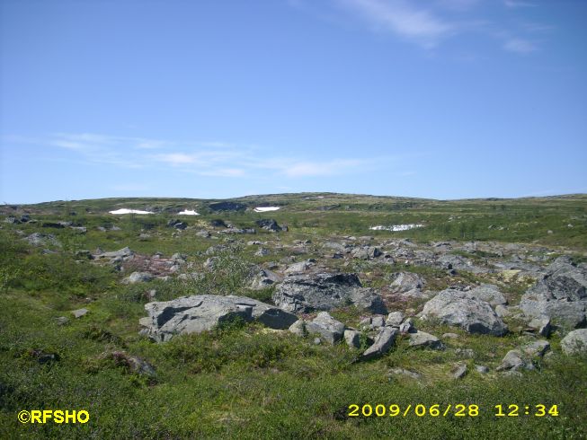 Nordgruvefelt