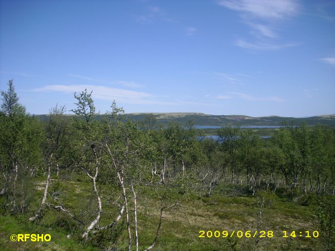Nordgruvefelt