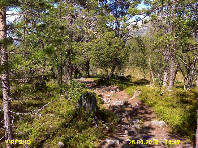 der Wanderweg